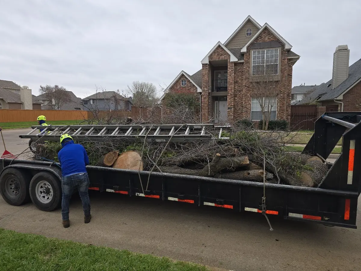Expert Tree Fertilization with proper safety equipment in Landenberg